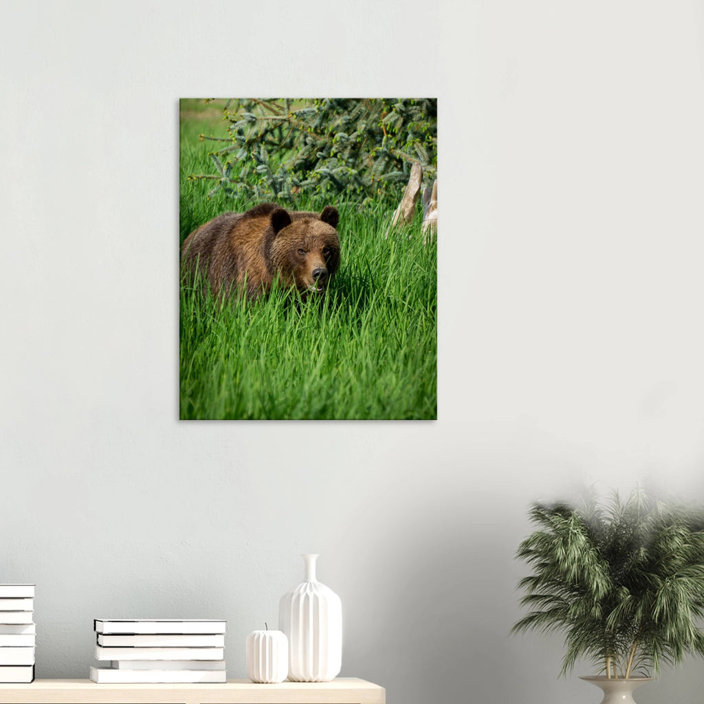 cb12bcf0-0103-4deb-8a3e-39de0253936d